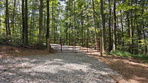 More of Tract B – Hocking Hideout on Monday Creek