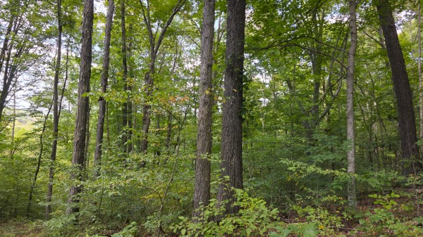 Tract B – Hocking Hideout on Monday Creek property photo