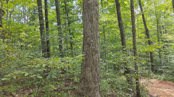 Tract B – Hocking Hideout on Monday Creek property photo