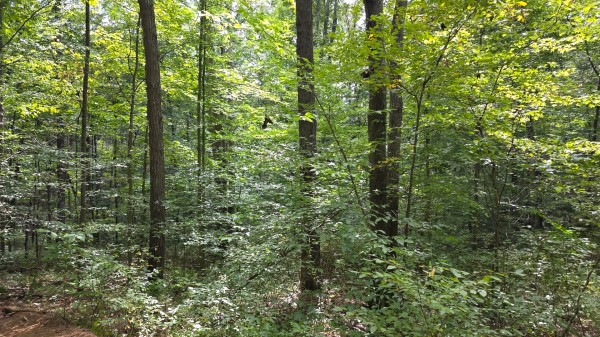 Tract B – Hocking Hideout on Monday Creek property photo