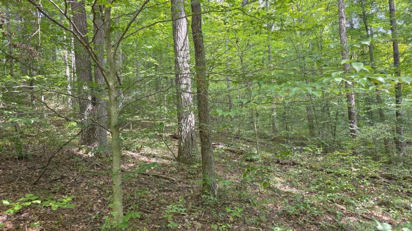 Tract B – Hocking Hideout on Monday Creek property photo
