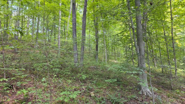 Tract B – Hocking Hideout on Monday Creek property photo
