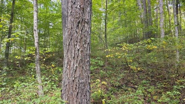 Tract B – Hocking Hideout on Monday Creek property photo