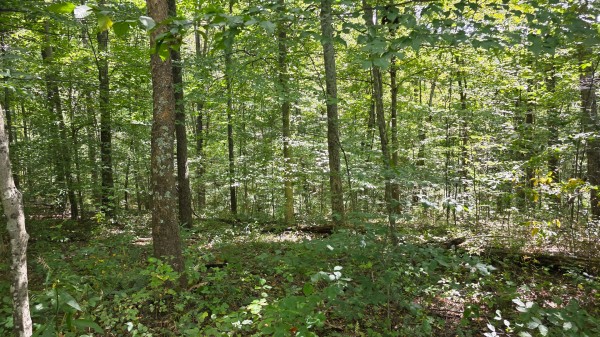 Tract B – Hocking Hideout on Monday Creek property photo