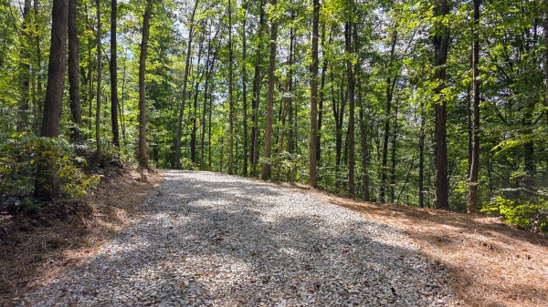More of Tract B – Hocking Hideout on Monday Creek