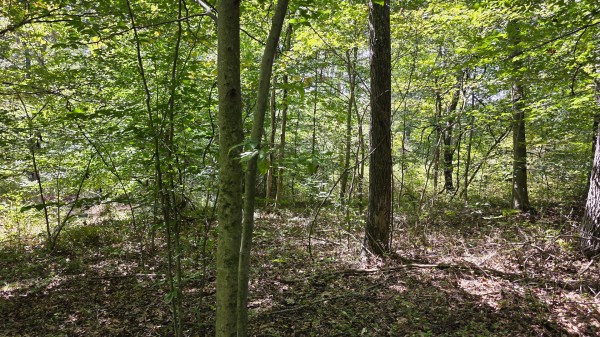 Tract B – Hocking Hideout on Monday Creek property photo