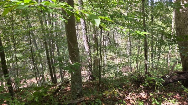 Tract B – Hocking Hideout on Monday Creek property photo