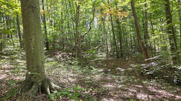 Tract B – Hocking Hideout on Monday Creek property photo