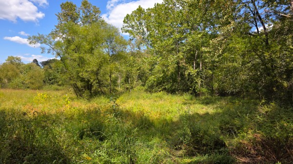 Tract B – Hocking Hideout on Monday Creek property photo