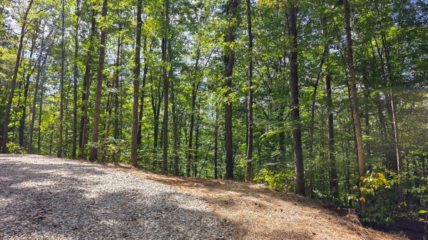 More of Tract B – Hocking Hideout on Monday Creek