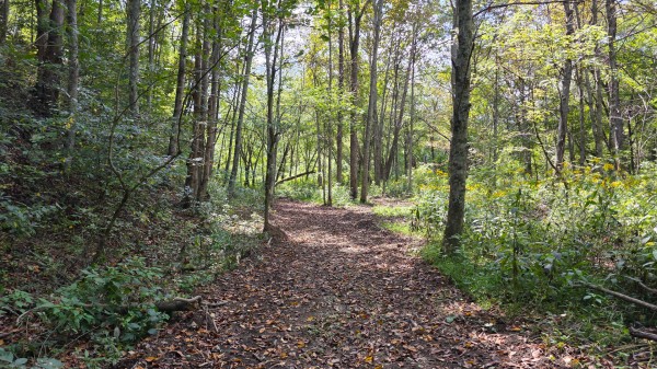 Tract B – Hocking Hideout on Monday Creek property photo