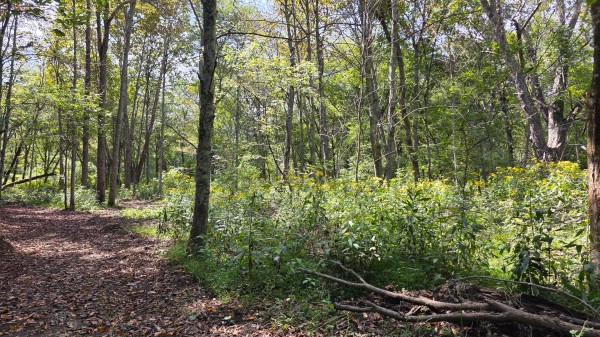 Tract B – Hocking Hideout on Monday Creek property photo