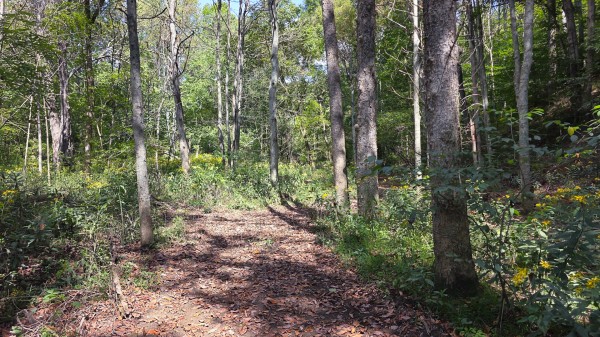 Tract B – Hocking Hideout on Monday Creek property photo