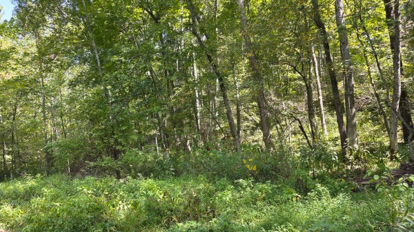 Tract B – Hocking Hideout on Monday Creek property photo