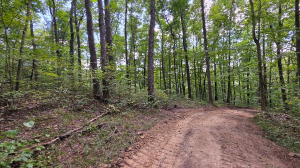 More of Tract B – Hocking Hideout on Monday Creek