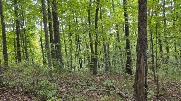 Tract B – Hocking Hideout on Monday Creek property photo