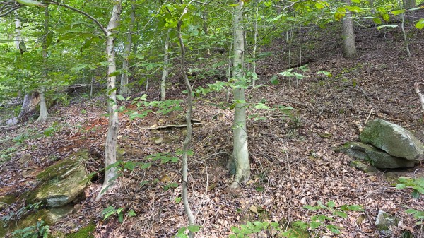 Tract D – Hocking Hideout on Monday Creek property photo