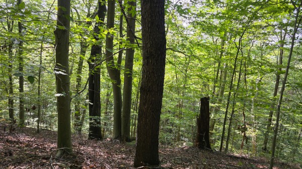 Tract D – Hocking Hideout on Monday Creek property photo