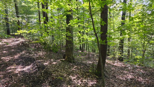 Tract D – Hocking Hideout on Monday Creek property photo