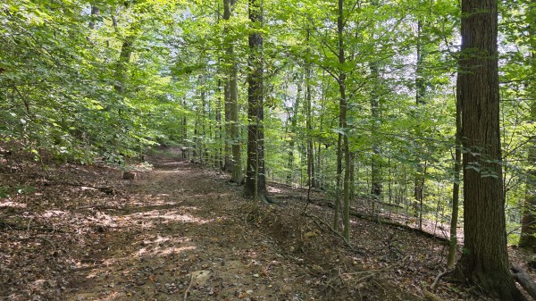 Tract D – Hocking Hideout on Monday Creek property photo
