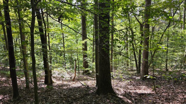 Tract D – Hocking Hideout on Monday Creek property photo