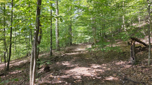 Tract D – Hocking Hideout on Monday Creek property photo