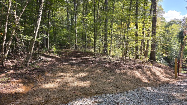 More of Tract D – Hocking Hideout on Monday Creek