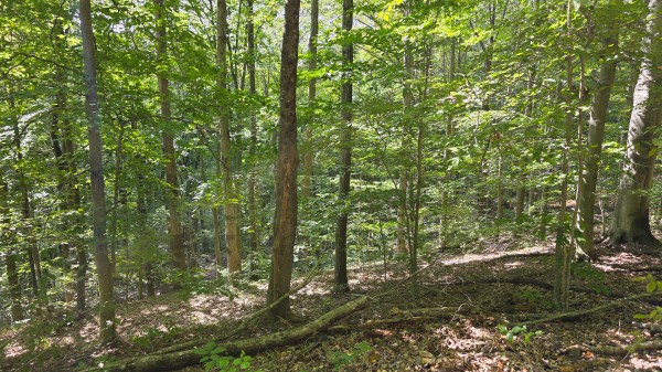 Tract D – Hocking Hideout on Monday Creek property photo