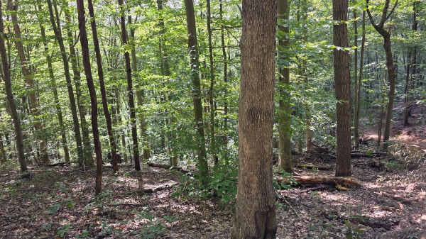 Tract D – Hocking Hideout on Monday Creek property photo