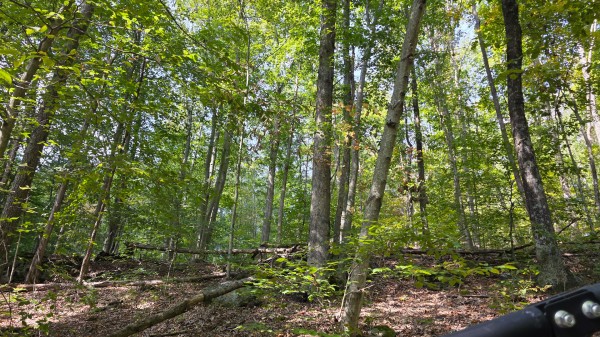 Tract D – Hocking Hideout on Monday Creek property photo