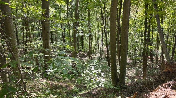 Tract D – Hocking Hideout on Monday Creek property photo