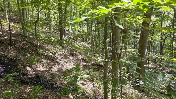 Tract D – Hocking Hideout on Monday Creek property photo