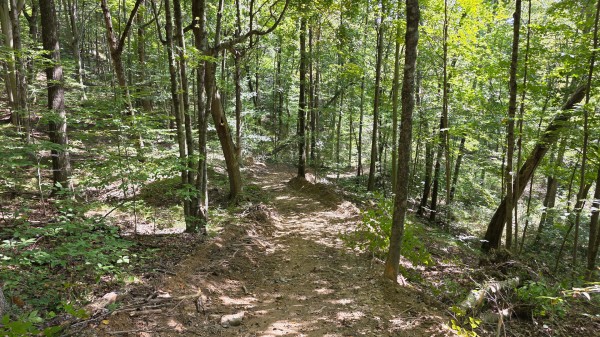 Tract D – Hocking Hideout on Monday Creek property photo