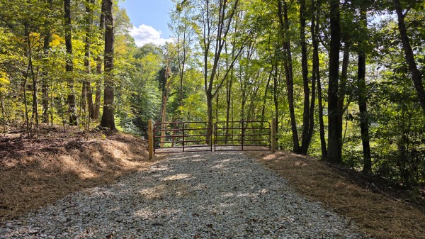 More of Tract D – Hocking Hideout on Monday Creek