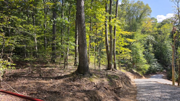 More of Tract D – Hocking Hideout on Monday Creek