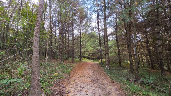 Lot 2 at Scenic Trails property photo