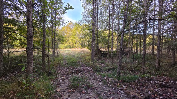 Lot 2 at Scenic Trails property photo