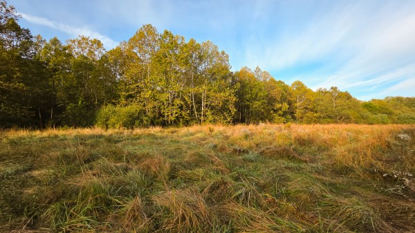 Lot 2 at Scenic Trails property photo