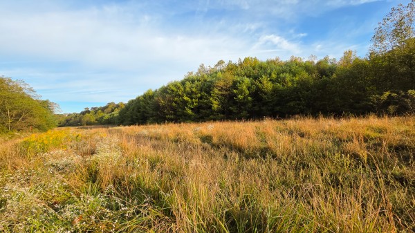Lot 2 at Scenic Trails property photo