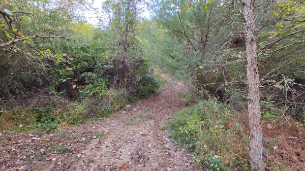 Lot 2 at Scenic Trails property photo