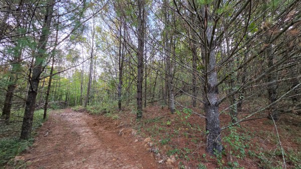 Lot 2 at Scenic Trails property photo