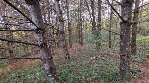 Lot 2 at Scenic Trails property photo