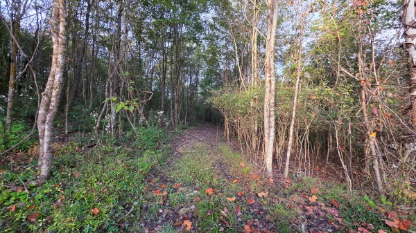 Lot 2 at Scenic Trails property photo