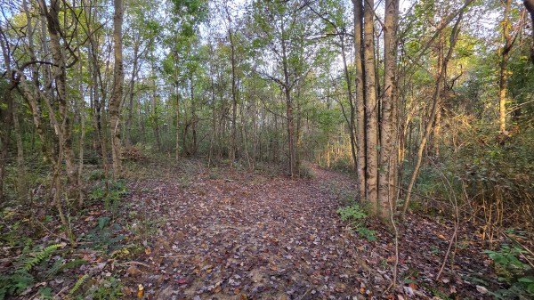 Lot 2 at Scenic Trails property photo