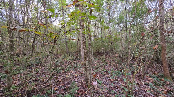 Lot 2 at Scenic Trails property photo