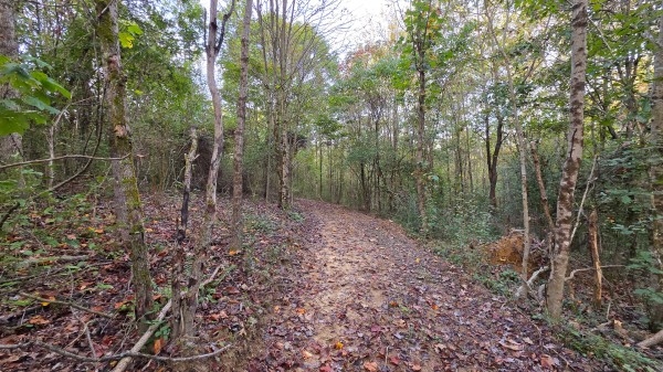 Lot 2 at Scenic Trails property photo