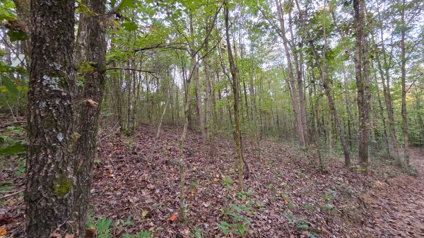 Lot 2 at Scenic Trails property photo