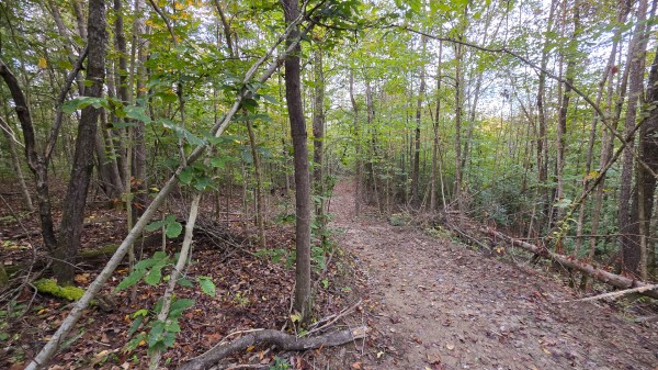 Lot 2 at Scenic Trails property photo