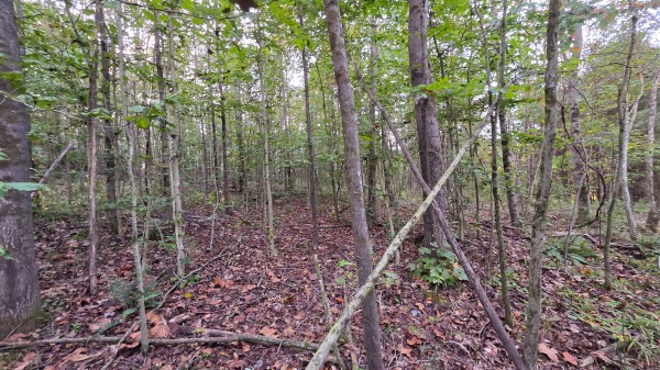 Lot 2 at Scenic Trails property photo