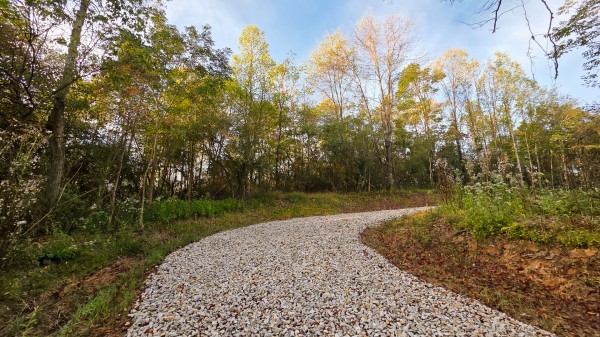 More of Lot 2 at Scenic Trails